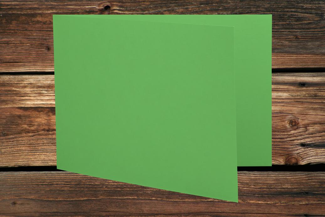 Klappkarten 105x210/420 mm langdoppelt Wiesengrün 230 g/qm